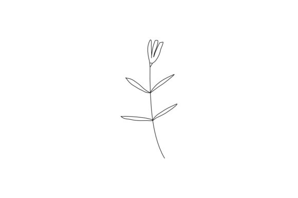 Abstract Beautiful Floral Botanical Line